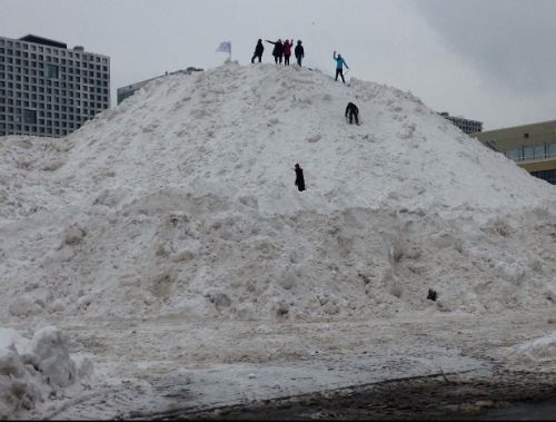 MIT SNOW.jpg