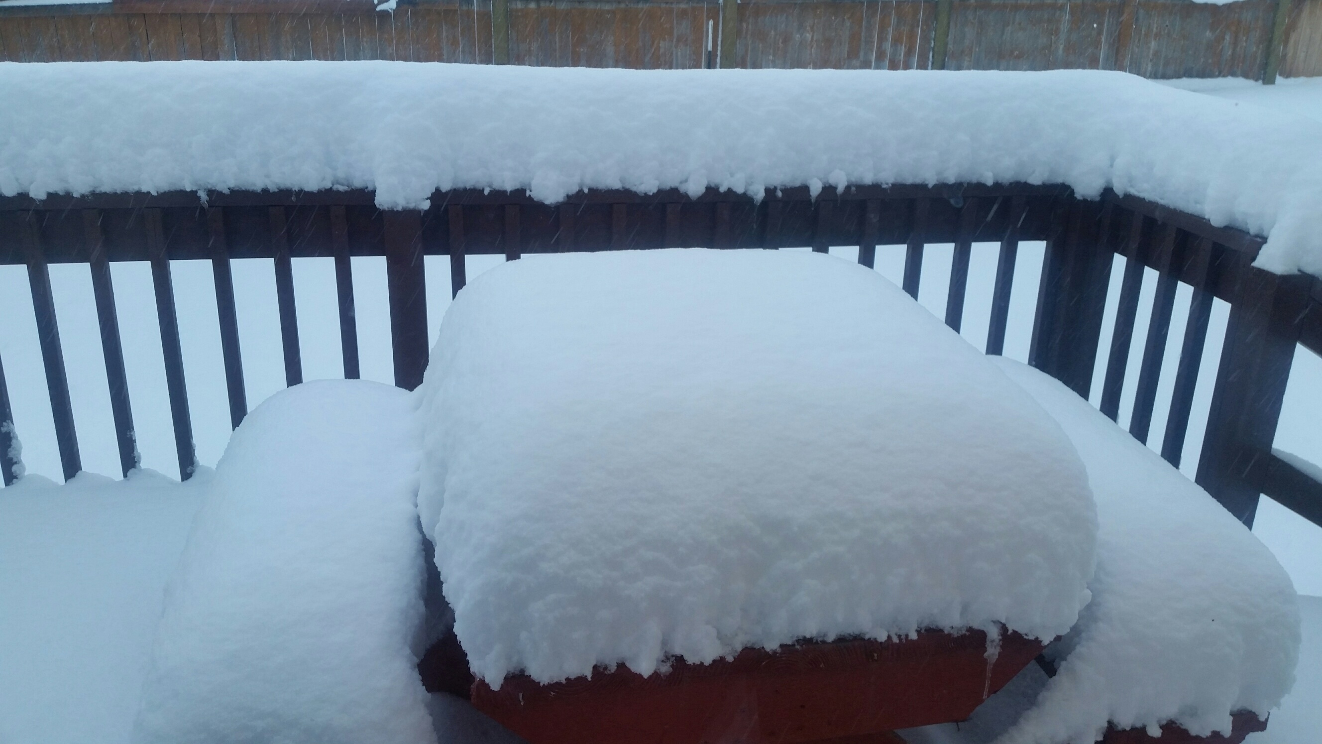 2015 Wed 23rd December more snow.jpg