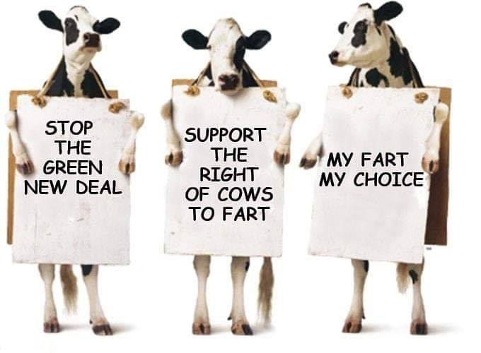 cow fartsn.jpg