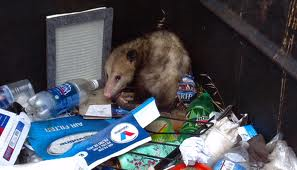 dumpster.png